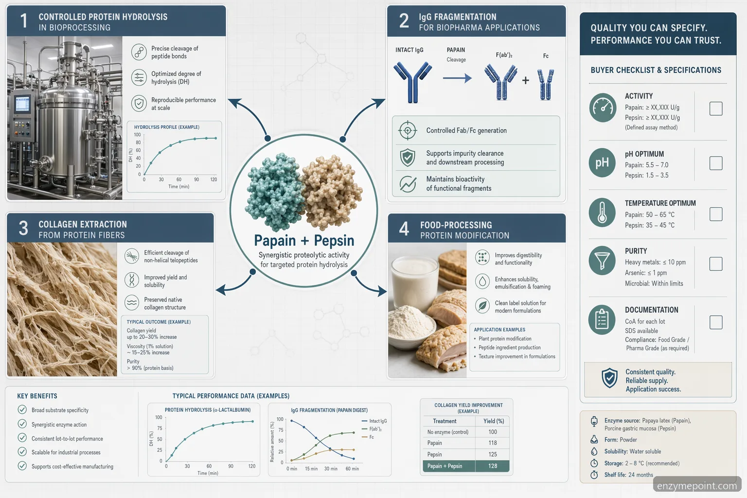 Anvendelse af papain og pepsin enzyme IgG sourcing-guide infografik med hydrolyse, IgG-fragmentering, kollagen og QC-ikoner