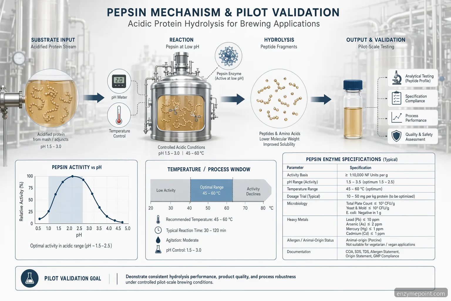 Диаграма на brewing pepsin enzyme процес с киселинна pH хидролиза, валидиране на температурата и спецификации на доставчик