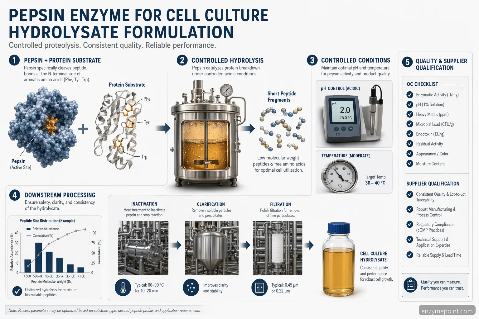 Pepsin enzyme til cellekultur guide med hydrolysatworkflow, pH-kontrol, QC-kontrol og leverandørkvalificering