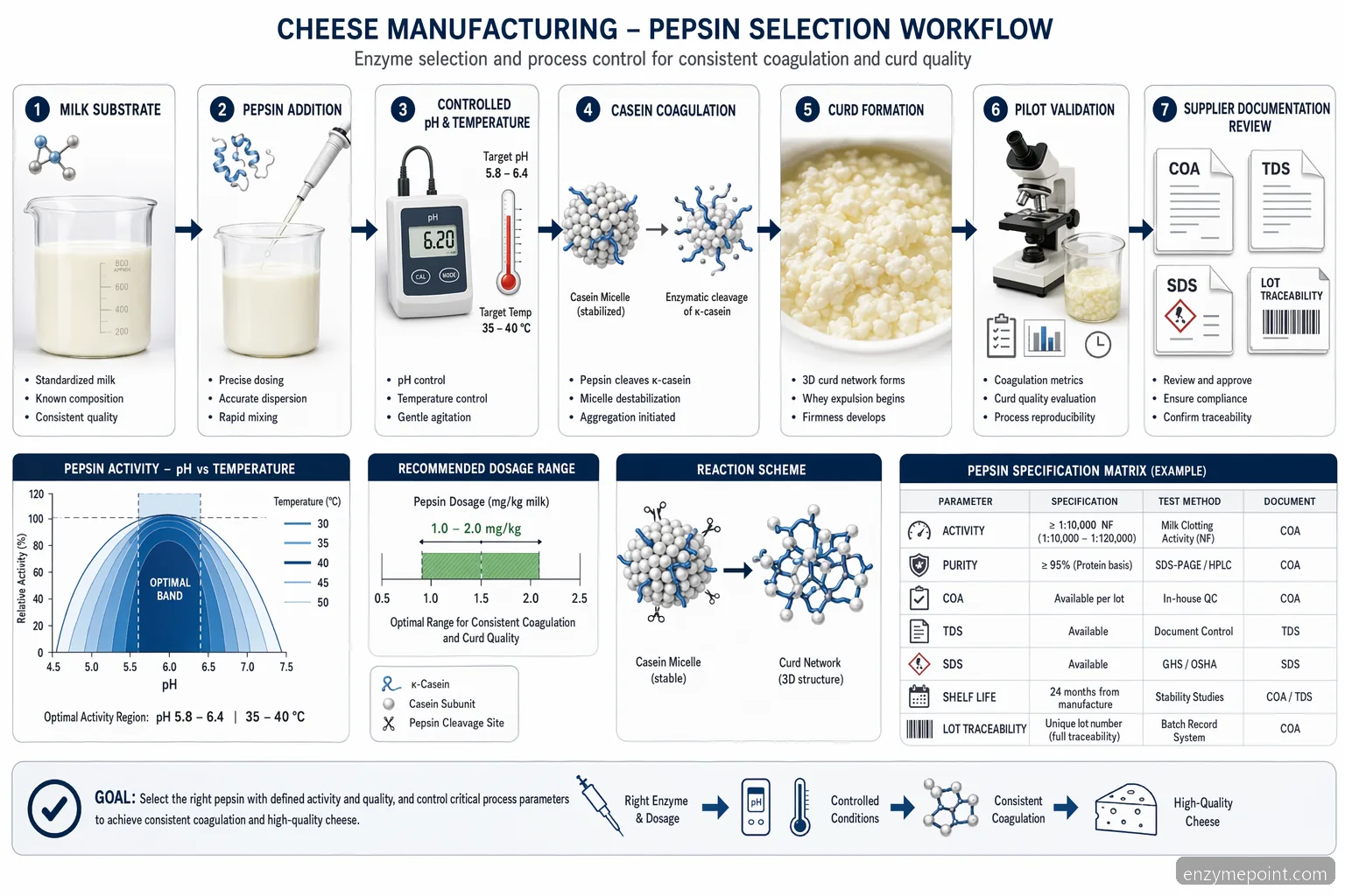 pepsin enzyme for cheese purchase proceso schema su pH, temperatūra, doze, validacija ir tiekėjo kriterijais